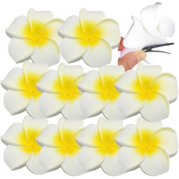 Amazon.co.jp: WINOMO ヘアクリップ 造花 プルメリア ハワイアン